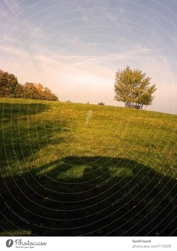 Sonntagsausflug im Batmobil Baum Wiese KFZ Sommer Licht Ferien & Urlaub & Reisen Fahrzeug Schattenspiel Gras Ausfahrt PKW Ausflug Himmel Silhouette