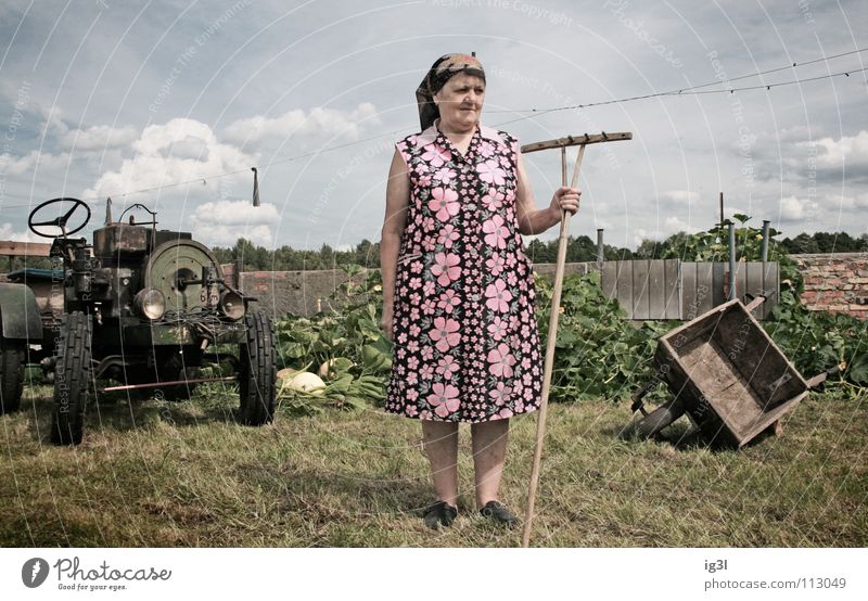 königin des gartens Frau Großmutter alt Wachstum Ruhestand Landwirt Bauernhof Tier Landwirtschaft Ernährung Zerealien Vitamin Gras Stroh trocken trocknen edel