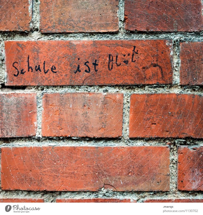 Another Brick in the wall Bildung Schule Mauer Wand Schriftzeichen Rechtschreibung Redewendung authentisch lustig Gefühle Beratung Kommunizieren Farbfoto