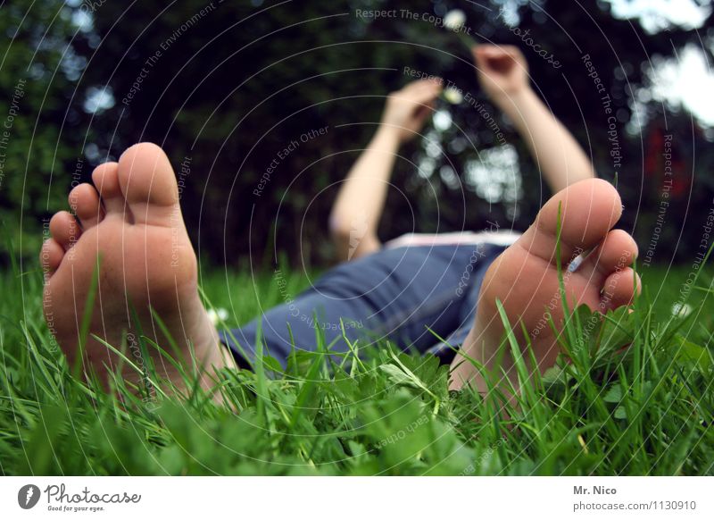 barbs'sch Erholung ruhig feminin Fuß Umwelt Natur Frühling Sommer Pflanze Wiese Jeanshose liegen Frühlingsgefühle bequem Barfuß Zehen Müdigkeit Garten