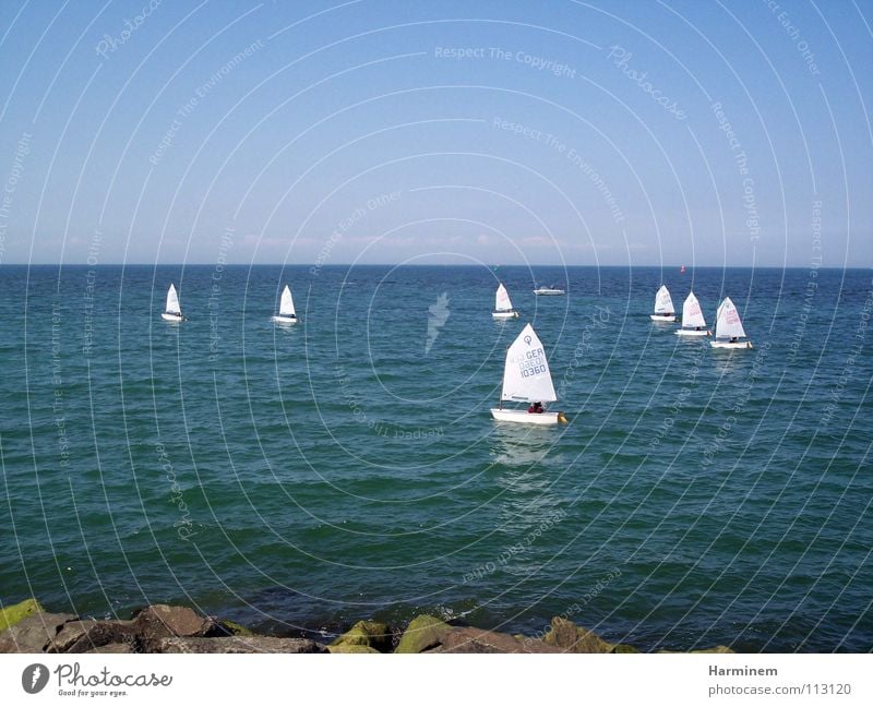 Segelboote Wasserfahrzeug klein Regatta mehrere Meer Küste weiß Ferien & Urlaub & Reisen Wohlgefühl Außenaufnahme Sportveranstaltung Konkurrenz Strand