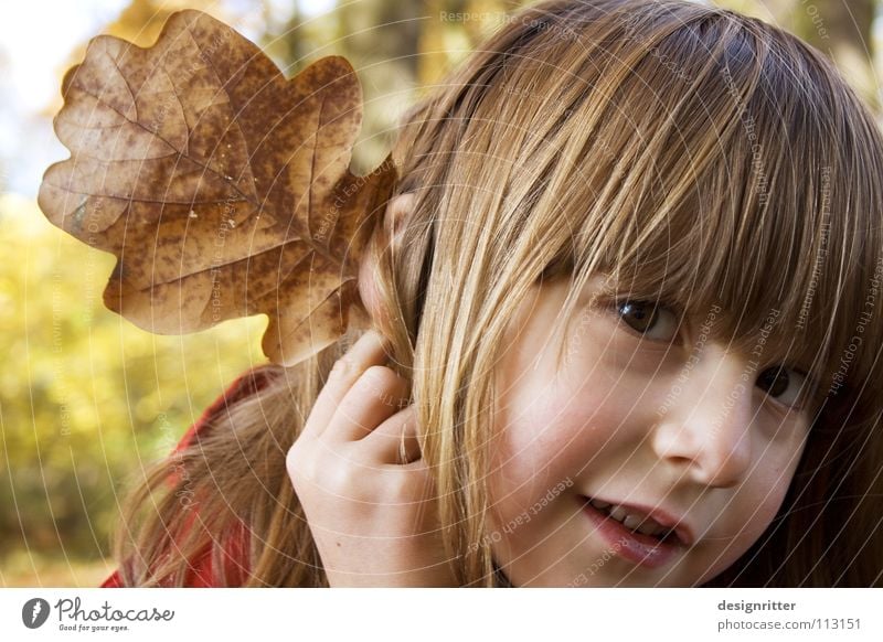 Elfefant Blatt Herbst Herbstlaub Eiche Eichenblatt Kind Mädchen Spielen verkleiden Elefant Verschmitzt Ohr Freude Blick leave leaves fallen autumn oak child ear