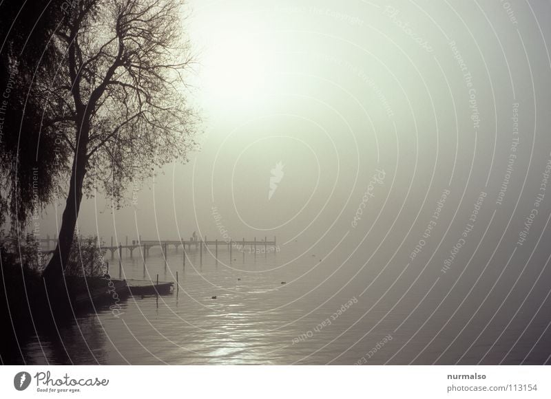 Nebel des Grauens 4 grau Baum leer dezent Bach Stimmung Herbst aufsteigen Gewässer Hand Steg Wasserfahrzeug weich Vogel Winter Fluss Ast Sonne Morgen Angst