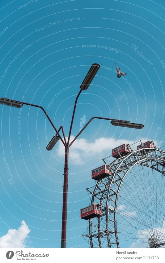 Landeanflug Himmel Wolken Schönes Wetter Wien Hauptstadt Stadtzentrum Park Sehenswürdigkeit Wahrzeichen Riesenrad Wiener Riesenrad Vogel Taube 1 Tier frei blau