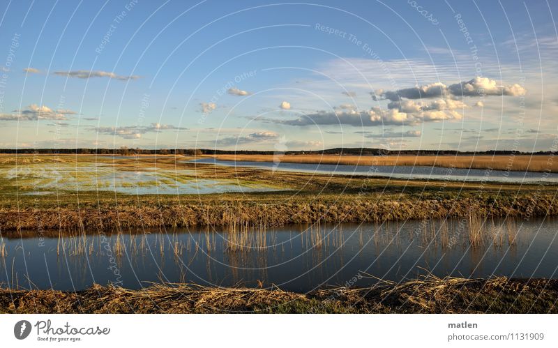 Schwemmland Natur Landschaft Pflanze Wasser Himmel Wolken Horizont Sonnenlicht Frühling Wetter Schönes Wetter Gras Wiese Küste Seeufer Flussufer Moor Sumpf