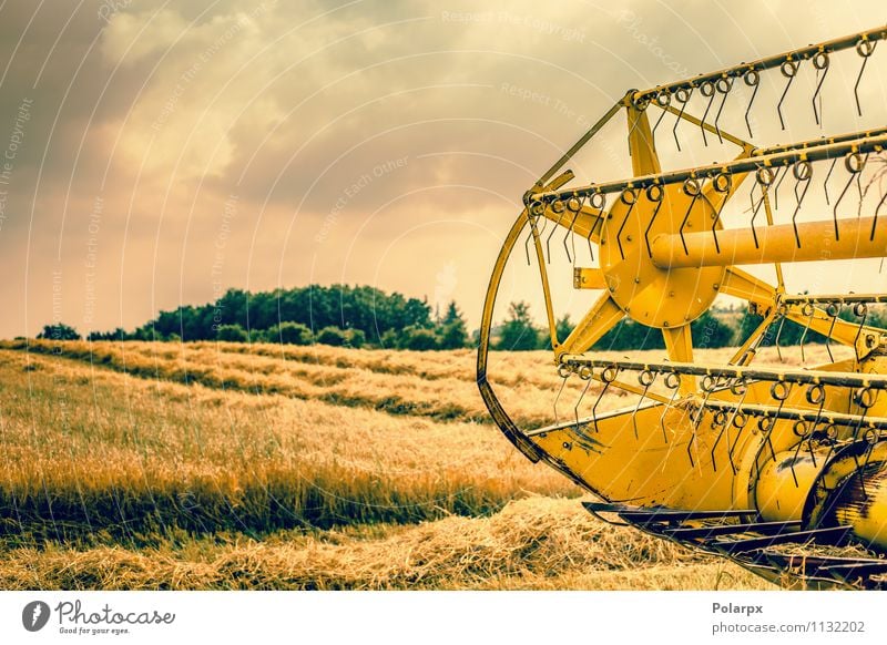 Harvester hinten auf einem Feld Sommer Arbeit & Erwerbstätigkeit Maschine Natur Landschaft Pflanze Herbst Wachstum heiß gelb gold Farbe orange Bauernhof reif