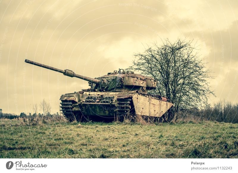 Tank auf einem Feld Camping Motor Natur Landschaft Herbst Baum Gras Wald Verkehr alt historisch retro grün Krieg Bosnien Serbien Tarnung fallen Pistole Militär