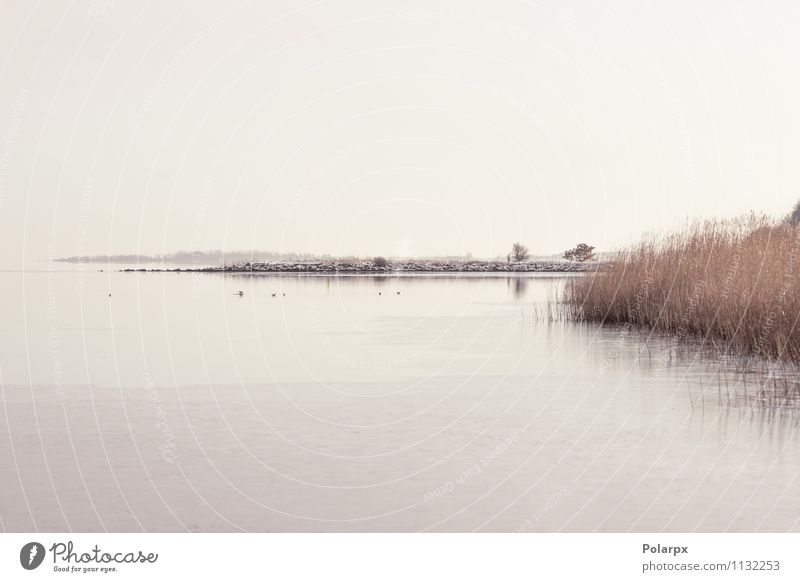 Idyllische Seenlandschaft schön ruhig Sonne Meer Winter Natur Landschaft Himmel Wolken Horizont Herbst Nebel Blatt Küste Fluss Stein natürlich Farbe Frieden