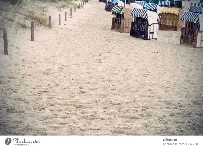 rudelbildung Freude Glück Freizeit & Hobby Ferien & Urlaub & Reisen Tourismus Ausflug Umwelt Urelemente Sand Gras Küste Strand Erholung Zufriedenheit