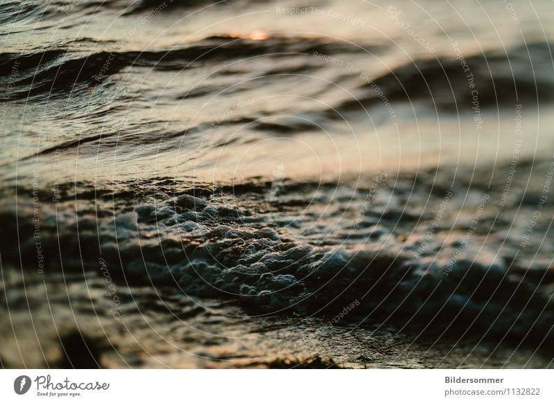 never close enough Natur Wasser Nordsee Ostsee Meer kalt nass Gefühle Stimmung Macht ruhig Trauer Tod Erfolg Klima Kraft stetig gleichmäßig Meerwasser