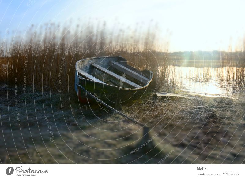 Still ruht der See Angeln Ferien & Urlaub & Reisen Ausflug Umwelt Natur Landschaft Sonnenlicht Winter Gras Schilfrohr Seeufer Teich Bootsfahrt Fischerboot