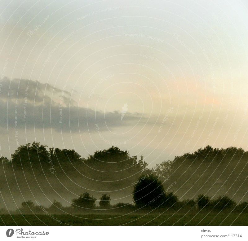 Schläft ein Lied in allen Dingen... Umwelt Natur Landschaft Luft Wolken Horizont Schönes Wetter Nebel Baum Sträucher Wiese Feld Wald schön Sehnsucht Heimweh