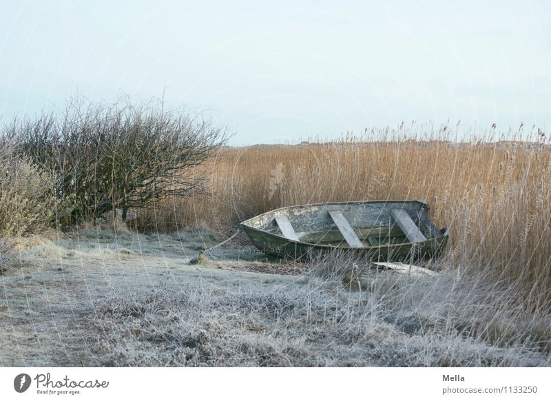 Winterschlaf Angeln Umwelt Natur Landschaft Eis Frost Gras Schilfrohr Seeufer Teich Ruderboot Wasserfahrzeug liegen kalt Stimmung ruhig Einsamkeit Idylle Pause