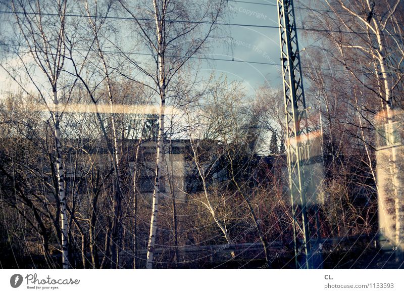 durchzug Umwelt Natur Landschaft Himmel Schönes Wetter Baum Verkehr Verkehrsmittel Verkehrswege Bahnfahren Schienenverkehr Zugabteil Fensterscheibe Bewegung