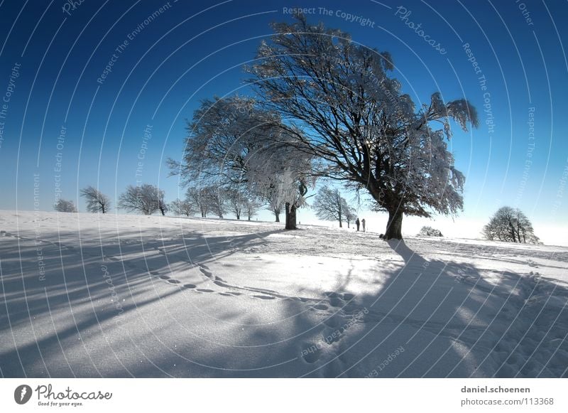 Weihnachtskarte 14 Sonnenstrahlen Winter Schwarzwald weiß Tiefschnee Wintersport Freizeit & Hobby Ferien & Urlaub & Reisen Hintergrundbild Baum Schneelandschaft