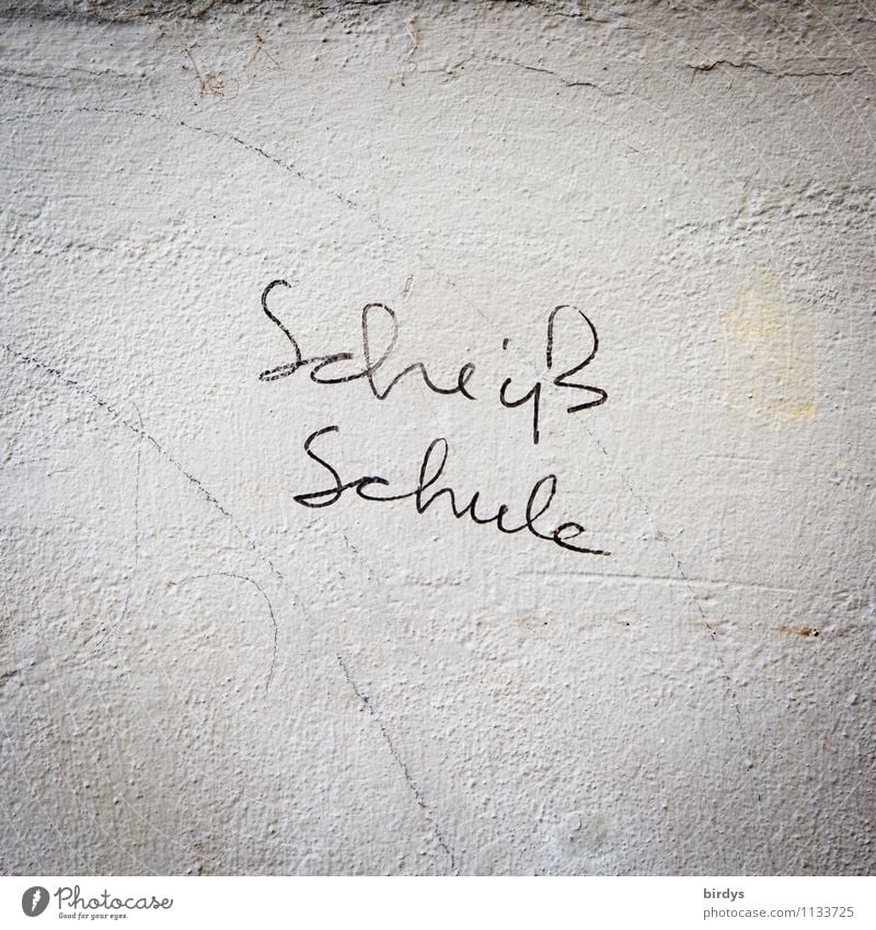 Schulfrust Bildung Schule Mauer Wand Schriftzeichen authentisch einfach rebellisch grau schwarz weiß Stress Ekel Verachtung Ärger Verbitterung Frustration