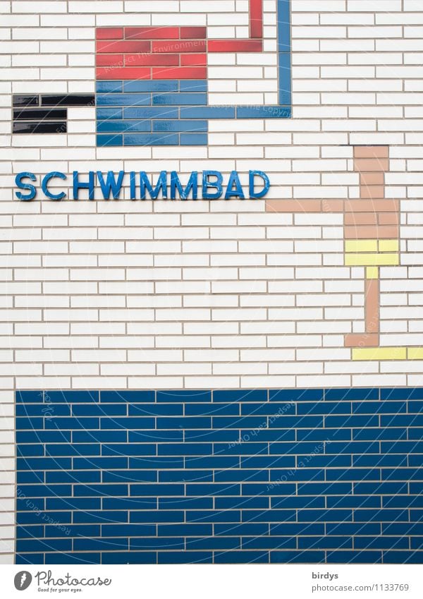 mal wieder schwimmen gehen Leben Schwimmbad Freizeit & Hobby Schwimmsport Sport Schwimmen & Baden Mauer Wand Fassade Ornament springen außergewöhnlich