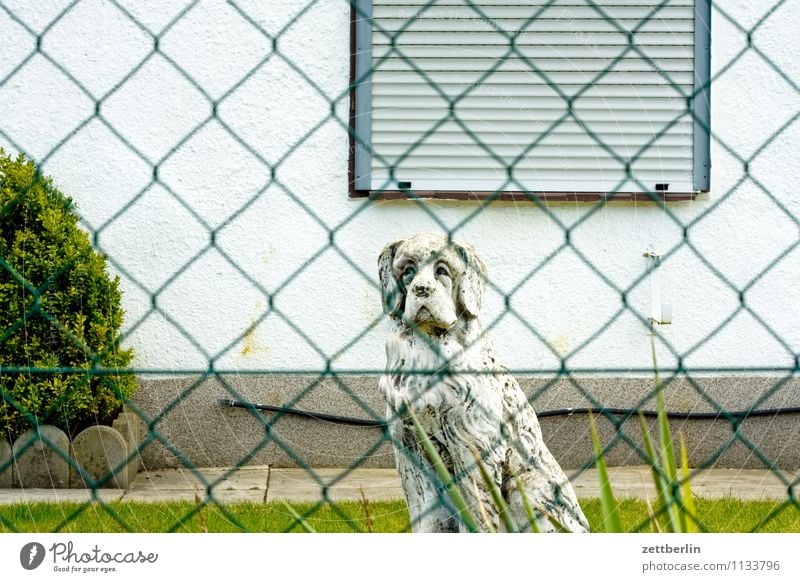 Hund Garten Schrebergarten Vorgarten Zaun Maschendrahtzaun Haus Gartenhaus Fenster geschlossen Rollo Jalousie Haushund Skulptur Stein Wohnhaus Tiefenschärfe