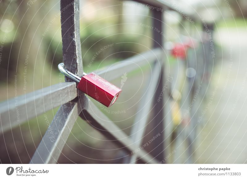 Die Fesseln der Liebe Lifestyle Valentinstag Park Wege & Pfade Brücke Metall Schloss hängen Glück Einigkeit Zusammensein Verliebtheit Treue Romantik