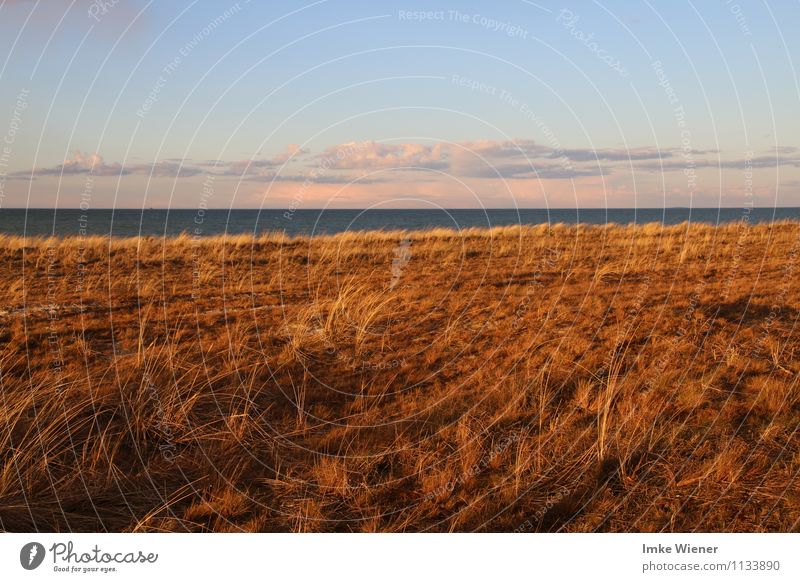 Abendstimmung auf dem Darß Ferien & Urlaub & Reisen Meer Natur Landschaft Wasser Himmel Wolken Sonnenaufgang Sonnenuntergang Sonnenlicht Frühling Schönes Wetter