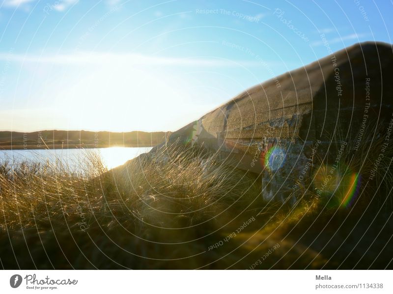 Gegenlichtbunker Umwelt Natur Landschaft Sonne Sonnenaufgang Sonnenuntergang Sonnenlicht Schönes Wetter Gras Seeufer Teich Bauwerk Bunker Mauer Wand bedrohlich