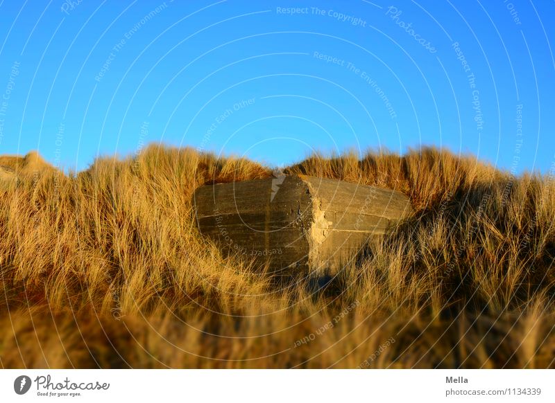 Versteckt Umwelt Gras Düne Stranddüne Dünengras Bunker Mauer Wand Entsetzen Todesangst gefährlich Feindseligkeit Angst Endzeitstimmung bedrohlich Krieg Macht