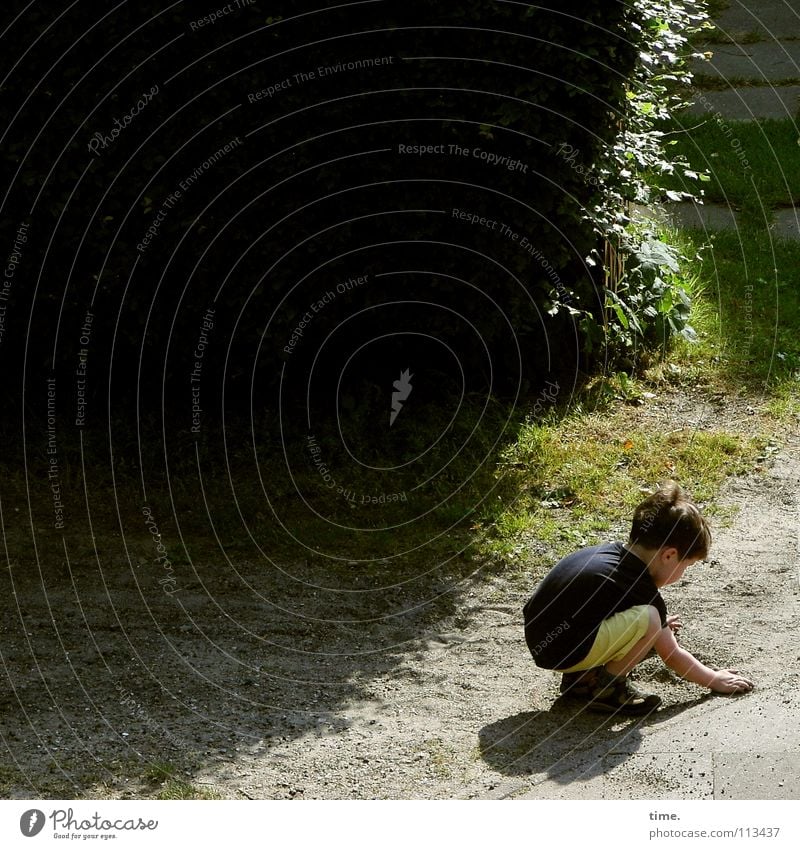 Spurensucher Kind grün Sand Sommer Hecke Spielen Gras Wiese planen Erfinden Konzentration untergehen intensiv Baustelle Junge Straße Wege & Pfade Sonne Schatten