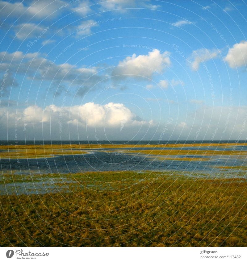 herbstlandschaft III Herbst Herbstlandschaft Küste mehrfarbig Jahreszeiten Strand Meer Wolken Vergänglichkeit Oktober November schlechtes Wetter Wiese Gras