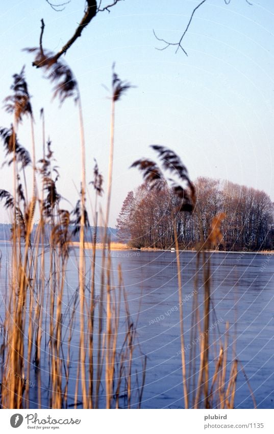 Seeufer Wasser Insel Küste