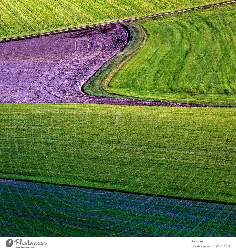 Art of farming Muster Kunst pflügen gepflügt sprießen Jungpflanze Gegenlicht Schatten Herbst Lebensmittel Landwirtschaft Aussaat aufgehen grün frisch Feld