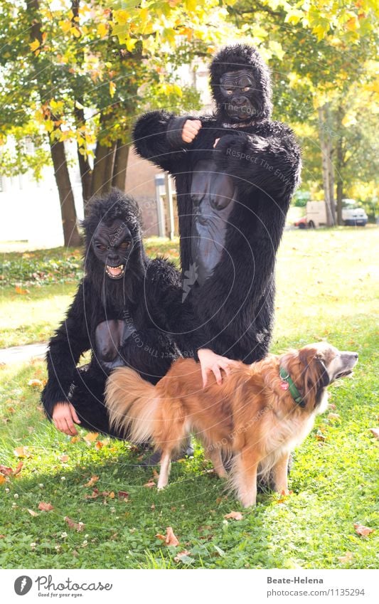 Maskottchen | die meinen haben auch eins! Fitness Sport-Training Leben Körper Kopf Haare & Frisuren Brust Gras Garten Wege & Pfade Hund Orang-Utan Affen 3 Tier