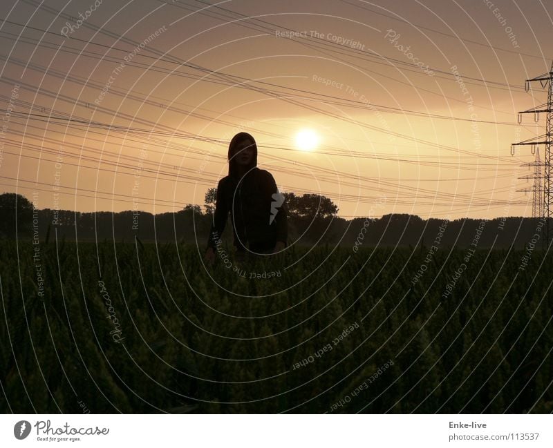 Abendstimmung Abenddämmerung Sonnenuntergang Feld Kornfeld Frau Einsamkeit Elektrizität Strommast Horizont schwarz Baum Sträucher Wolken Sommer Verkehr Getreide