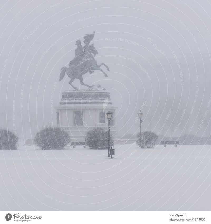 Rider on the (snow) storm II Kunst Skulptur Winter schlechtes Wetter Unwetter Sturm Eis Frost Schnee Schneefall Pflanze Baum Sträucher Wien Heldenplatz Stadt