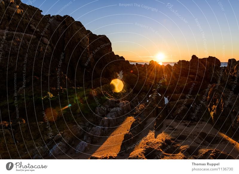 Sonne streift die Felsen Ferne Freiheit Sommer Sommerurlaub Strand Meer Umwelt Natur Wasser Himmel Wolkenloser Himmel Sonnenaufgang Sonnenuntergang Sonnenlicht