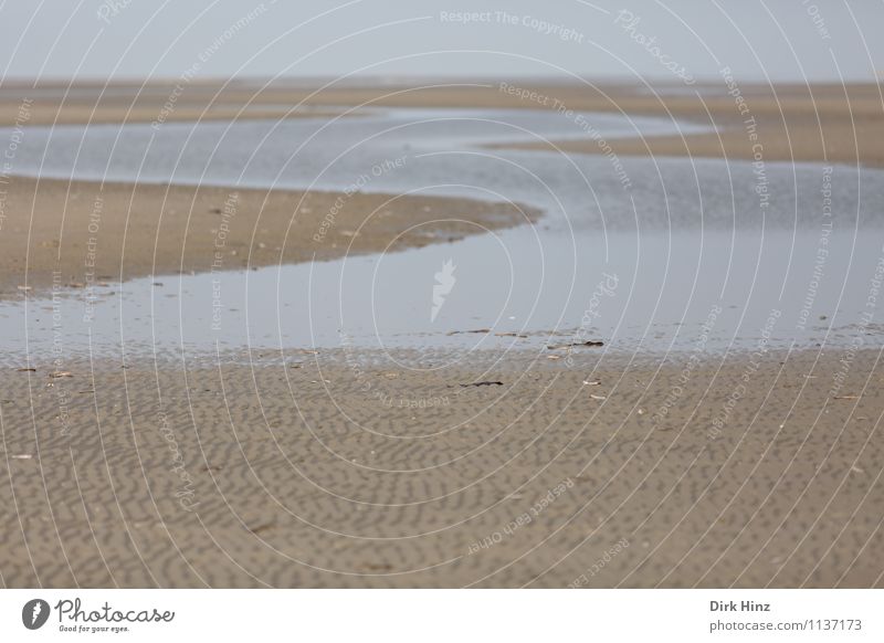 Watt-S Umwelt Natur Landschaft Urelemente Erde Sand Wasser Horizont Klima Küste Strand Nordsee Meer maritim Wattenmeer Priel Ebbe Wattwandern Schleswig-Holstein