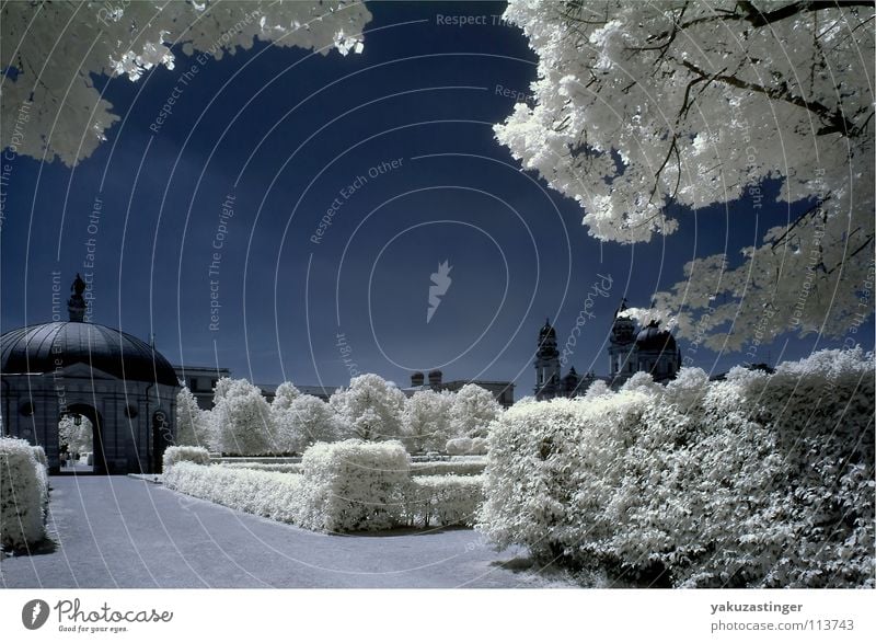 weißer Sommer Infrarotaufnahme Park Hofgarten München Bayern Farbe kanaltausch blau Bäüme Woodeffect