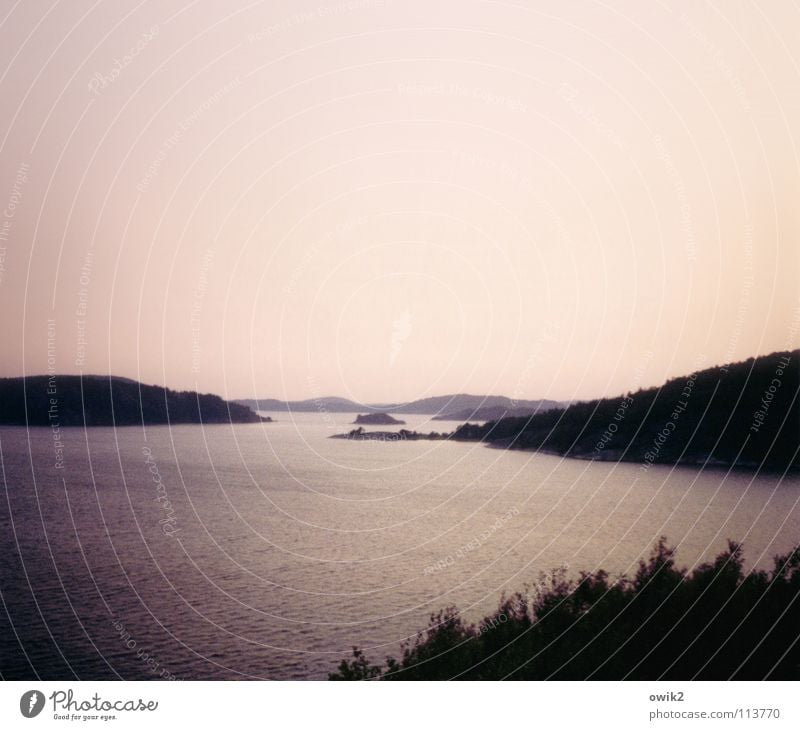 Bohuslän Ferne Strand Meer Insel Umwelt Natur Landschaft Wasser Wolkenloser Himmel Schönes Wetter Baum Küste Fjord rosa schwarz ruhig Freiheit Frieden Horizont