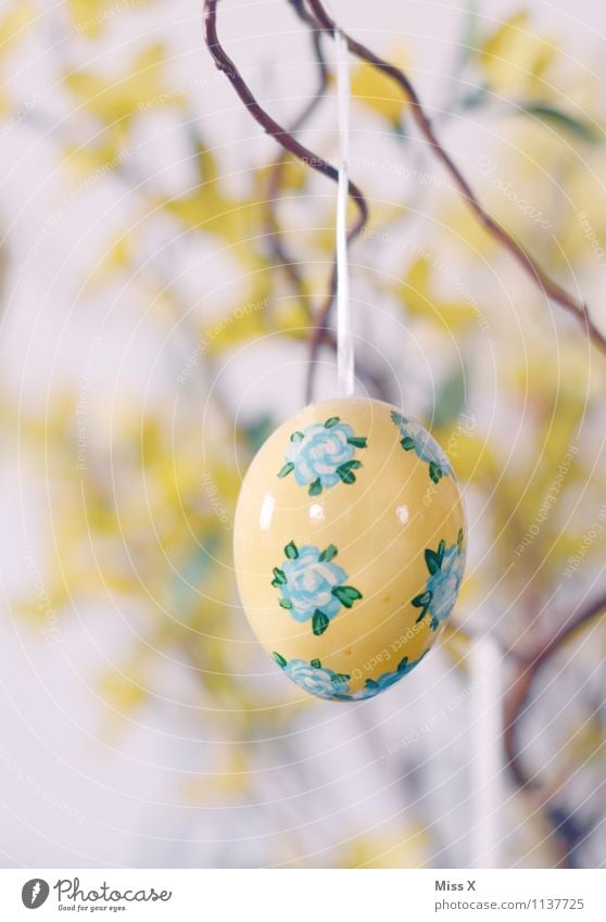 BauernmalerEi Dekoration & Verzierung Ostern Kitsch Krimskrams Sammlerstück hängen gelb Osterei Ast Hühnerei Blumenmuster bemalt Farbfoto mehrfarbig