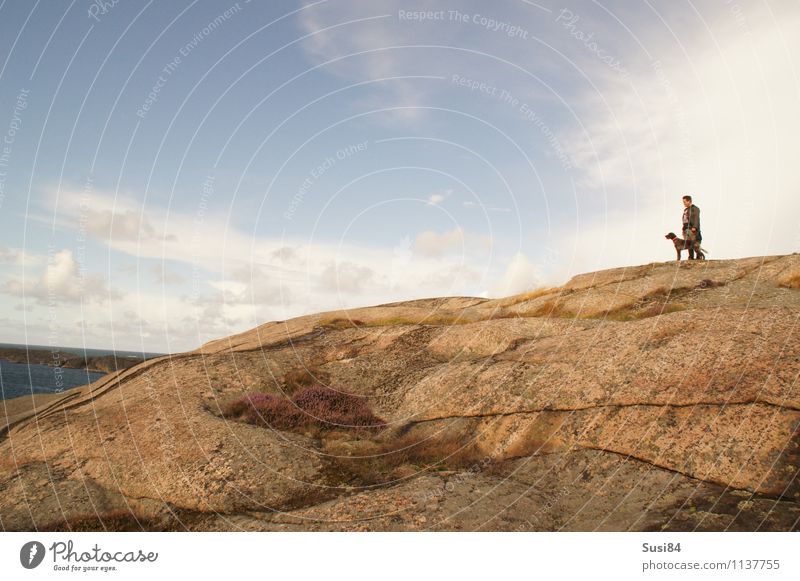 Schären Mensch maskulin Junger Mann Jugendliche 1 30-45 Jahre Erwachsene Natur Landschaft Himmel Wolken Sommer Schönes Wetter Gras Küste Schweden Haustier Hund