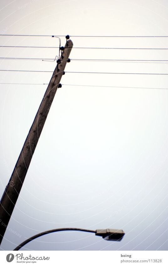 und Donner Telefonmast Notenblatt musizieren komponieren Notenschlüssel Laterne Langeweile Stromschlag Freilandmast 4-adrig 5-adrig 6-adrig