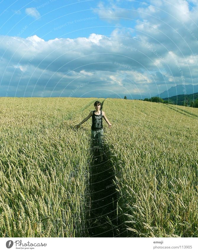 ein letztes Mal noch zurück! springen Feld Weizen Weizenfeld Kornfeld Sommer Frühling Jugendliche Fröhlichkeit Wolken Gesundheit Herbst Spielen Leben live