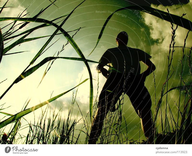 Silhouette I hüpfen Frühling Sommer Wiese Gras grün Mann Kerl Stil Sonnenuntergang Körperhaltung Halm Froschperspektive Sonnenstrahlen Wolken Feld Gefühle