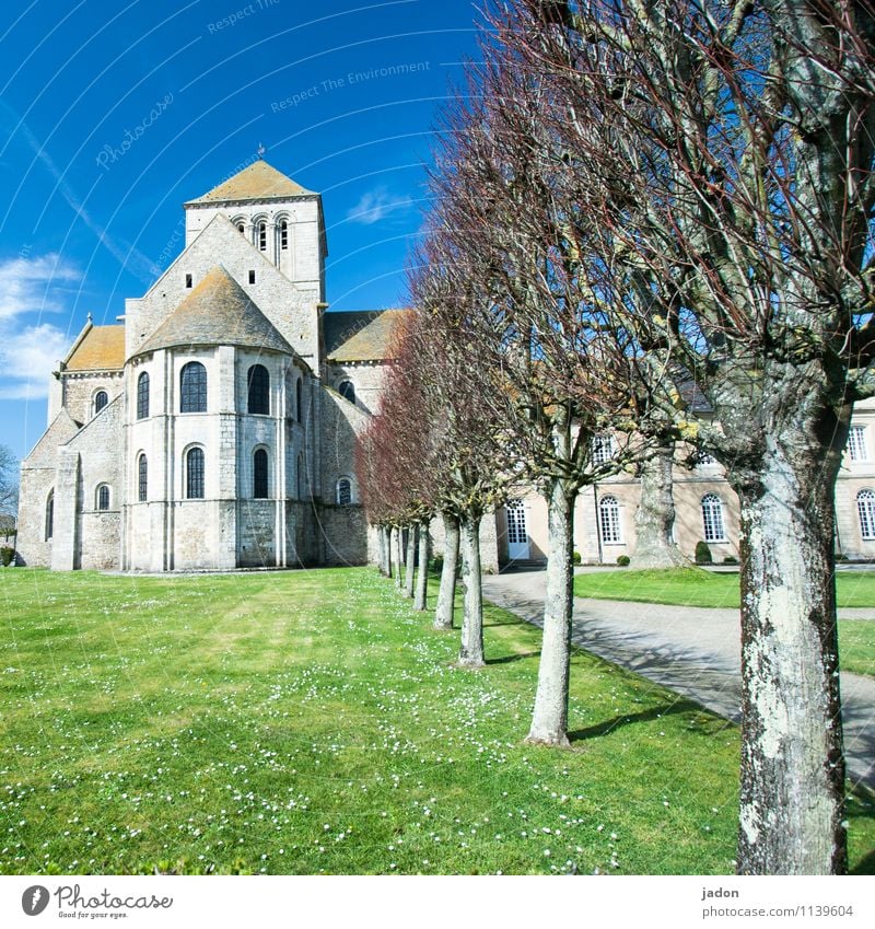 landsitz. elegant Stil Haus Traumhaus Garten Landschaft Himmel Frühling Baum Gras Park Kirche Burg oder Schloss Turm Bauwerk Architektur Mauer Wand