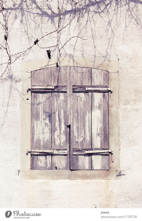 Abschied Mauer Wand Fenster Fensterladen Stein Holz alt schön braun weiß Schutz ruhig Interesse Trauer Vergänglichkeit Wandel & Veränderung Häusliches Leben