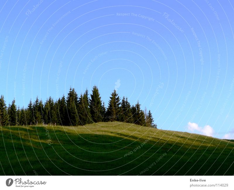 Schatten des Hügels Wolken Baum Wald Tanne Wiese grün saftig Farbe Verkehr Himmel Schönes Wetter strahlend blau Berge u. Gebirge Weide saftiges grün