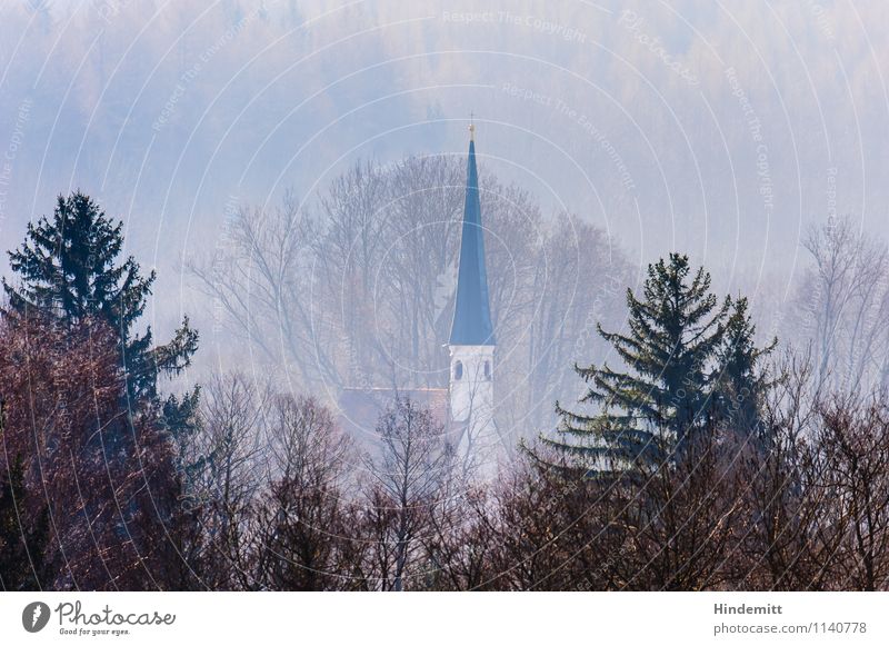 Weit weg ... Umwelt Landschaft Frühling Nebel Baum Wald Dorf Kirche Kirchturm hoch niedlich Spitze blau rosa Geborgenheit ruhig Toleranz bescheiden Verzweiflung