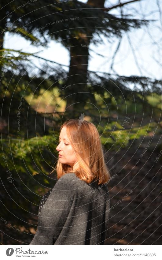 Lust auf Waldluft Mensch feminin Frau Erwachsene 1 Natur Landschaft Sonne Frühling Schönes Wetter Baum blond genießen stehen Gefühle Stimmung Zufriedenheit