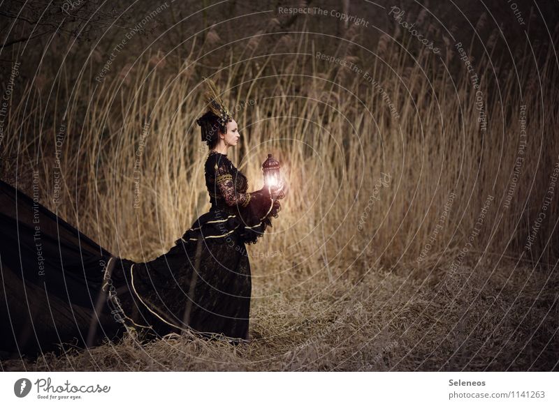 Lichtbringer Mensch feminin Frau Erwachsene 1 Umwelt Natur Herbst Gras Sträucher Park Wiese Feld Kleid Laterne natürlich Farbfoto Außenaufnahme