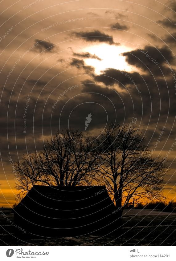 verlassene Hütte Scheune Sonnenuntergang Baum Herbst Wolken dramatisch Haus Dämmerung Abend dunkel laublos gruselig mystisch Himmel Landschaft Abenddämmerung