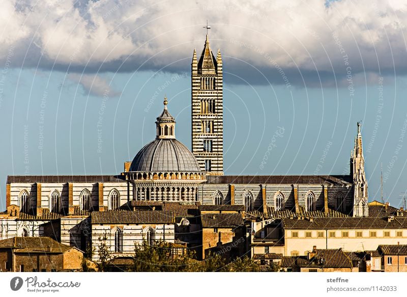 Kirche: Siena Himmel Wolken Sonnenaufgang Sonnenuntergang Sonnenlicht Frühling Schönes Wetter Toskana Italien Altstadt Dom Sehenswürdigkeit ästhetisch